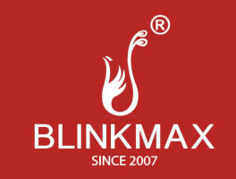 BLINK-MAX-300x202